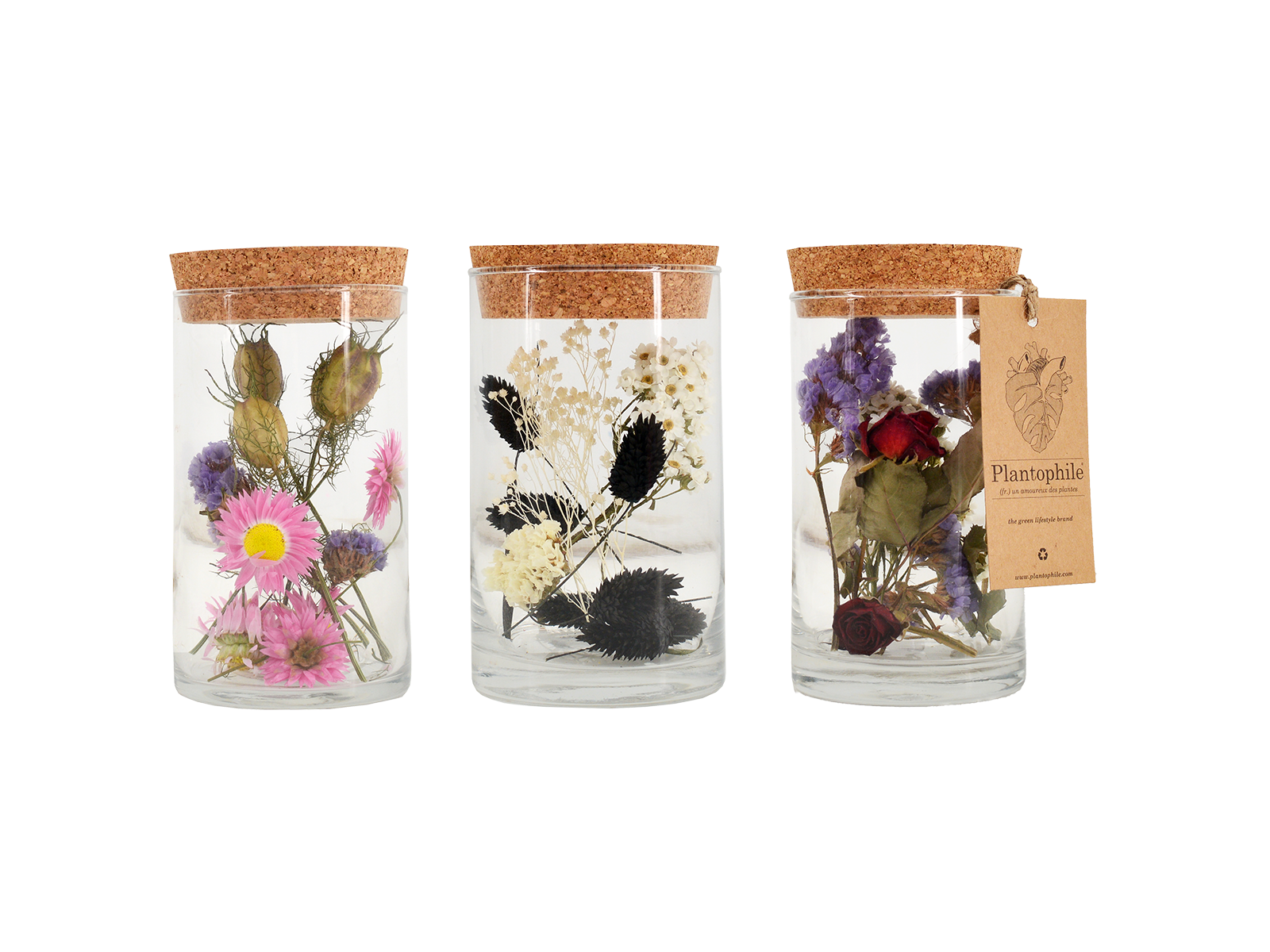 Vase With Dried Flowers - Buy Vase With Dried Flowers