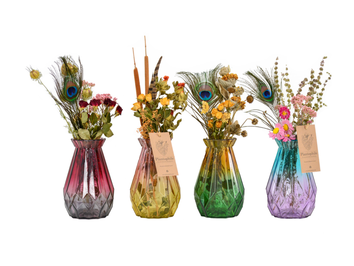 Dried Flowers in Diamond Vase Colored
