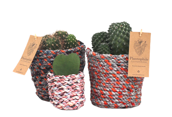 Cactus in recycled fabrics planter
