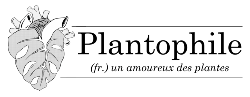 Plantophile.com Logo