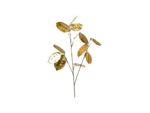 Lunaria Gold