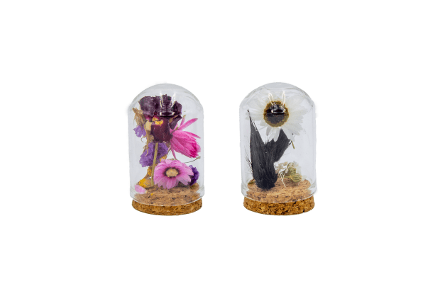 Dried flowers - mini dome - set of 2 pieces