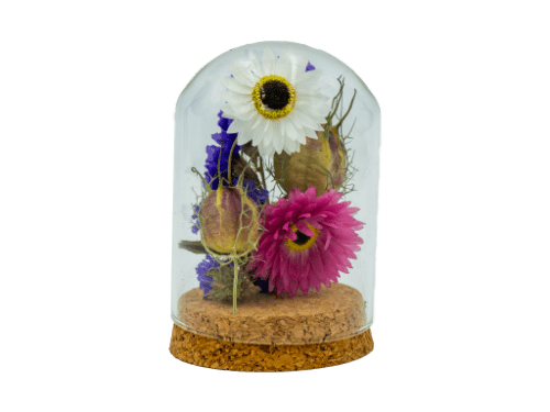 plantophile dried flowers mini dome